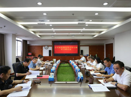 威廉体育公司党组理论进建中心组发展主题教育第四次集中进建钻研