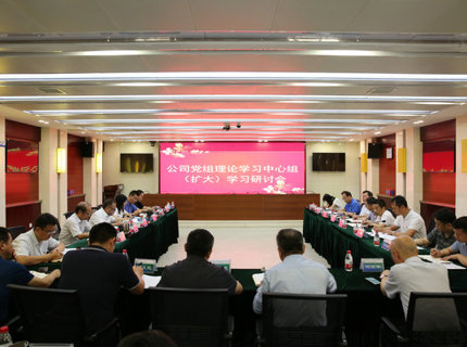 威廉体育公司党组理论进建中心组发展主题教育第五次集中进建钻研