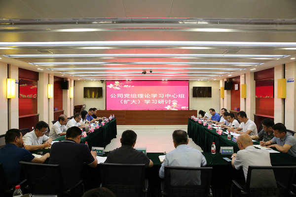 威廉体育公司党组理论进建中心组发展主题教育第五次集中进建钻研