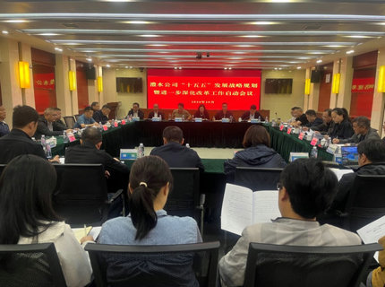 威廉体育公司召开“十五五”发展战术规划暨进一步深入鼎新工作启动会