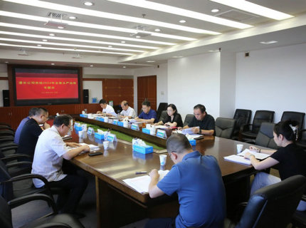 威廉体育公司党组召开2024年全面从严治党专题会议