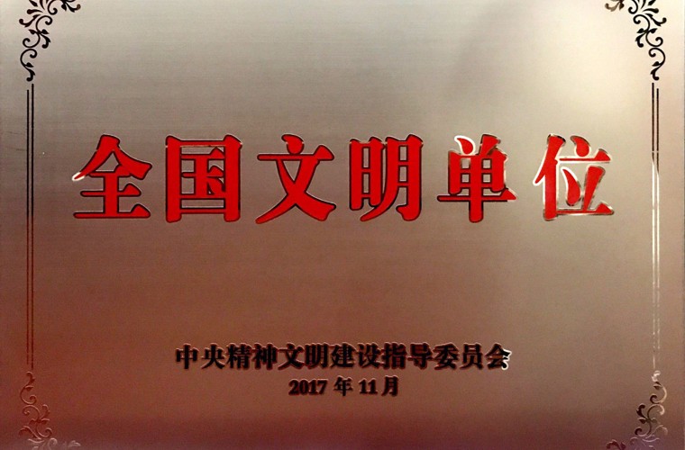 全国文化单元