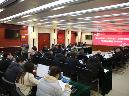 威廉体育公司召开“十五五”发展战术规划纲领审查会