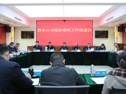 威廉体育公司召开巡察整改工作推动会