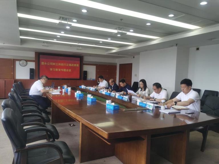 威廉体育公司党组召开设置和践行正确政绩观进建教育专题会